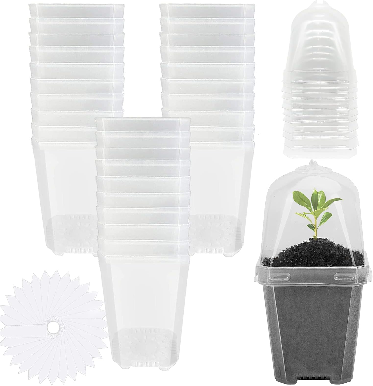 EBaokuup 30PCS Clear Plant Nursery Pots with Humidity Dome - 3" Durable Plastic Gardening Pot, Small Plant Container for Seedlings/Vegetables/Succulents/Cuttings