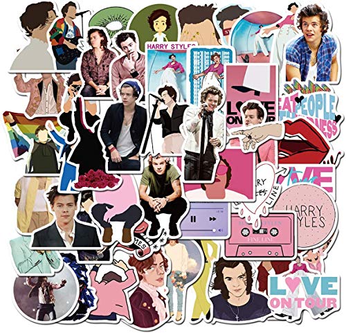 100 pegatinas para portátil y botellas de agua de Sänger Harry Styles, para ordenadores portátiles, para adolescentes, botellas de agua, ordenadores, bolsa de viaje