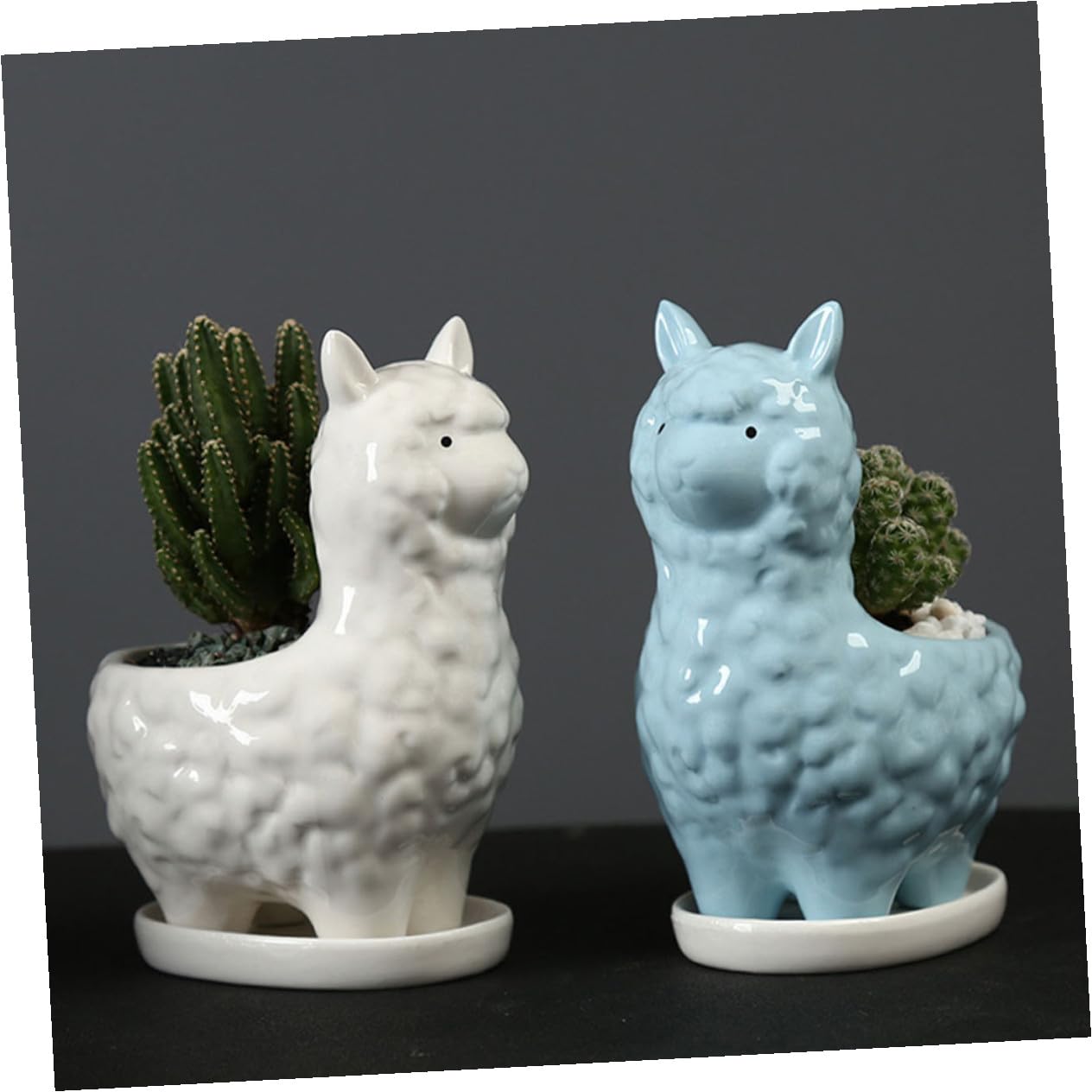 2kawałki Ceramiczny Kwiatowy Doniczek z Alpaka Uroczy Do Sukulentów Bonsai Dekoracja Biurka Idealny Do Domu i Ogrodu