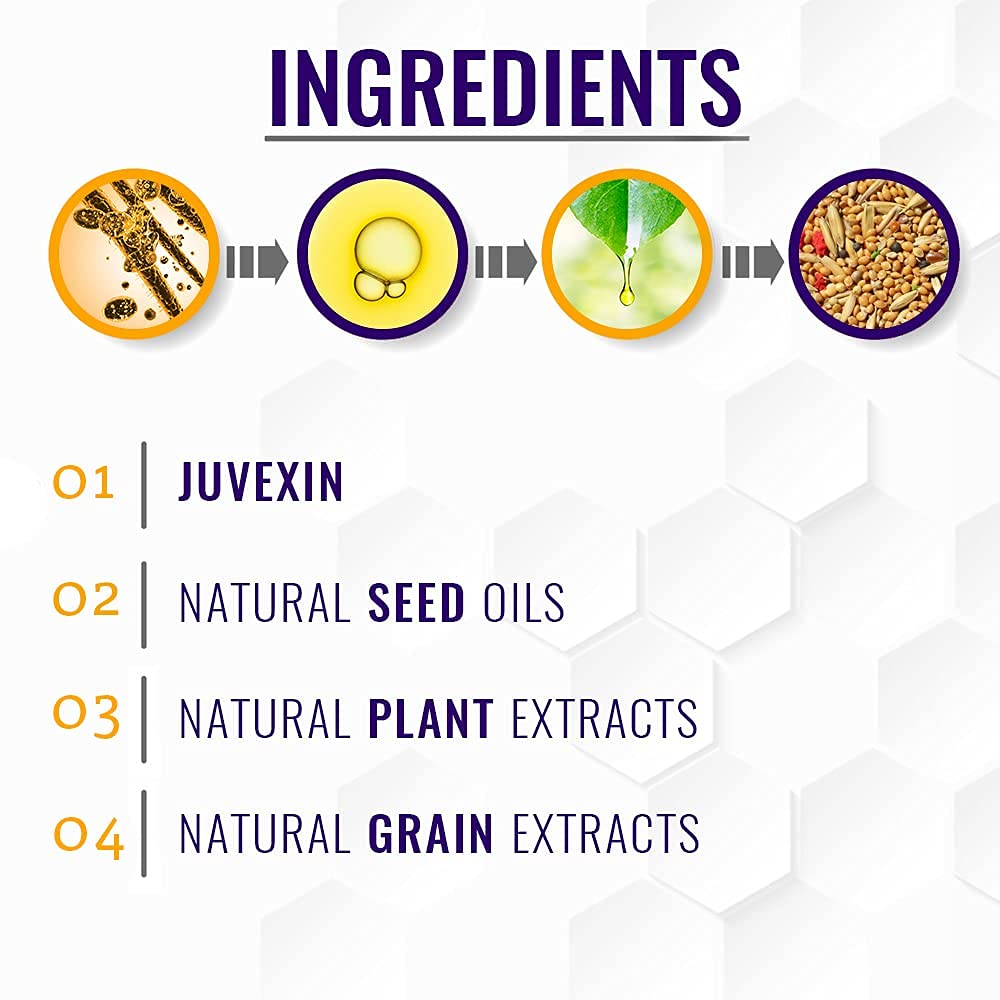 GK HAIR Global Keratin Silver Bombshell/Purple Shampoo (9.5 FL Oz/280 ml) per capelli biondi, platino, cenere, argento e grigi idrata i capelli secchi e danneggiati rimuove i toni giallo-ottanio