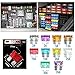 FICBOX Blade Car Fuses Assortment Kit, 100PCS Standard Assorted Fuses with 5 Inline Fuse Holders - Includes Fuse Puller Tool, Great for Use on Cars