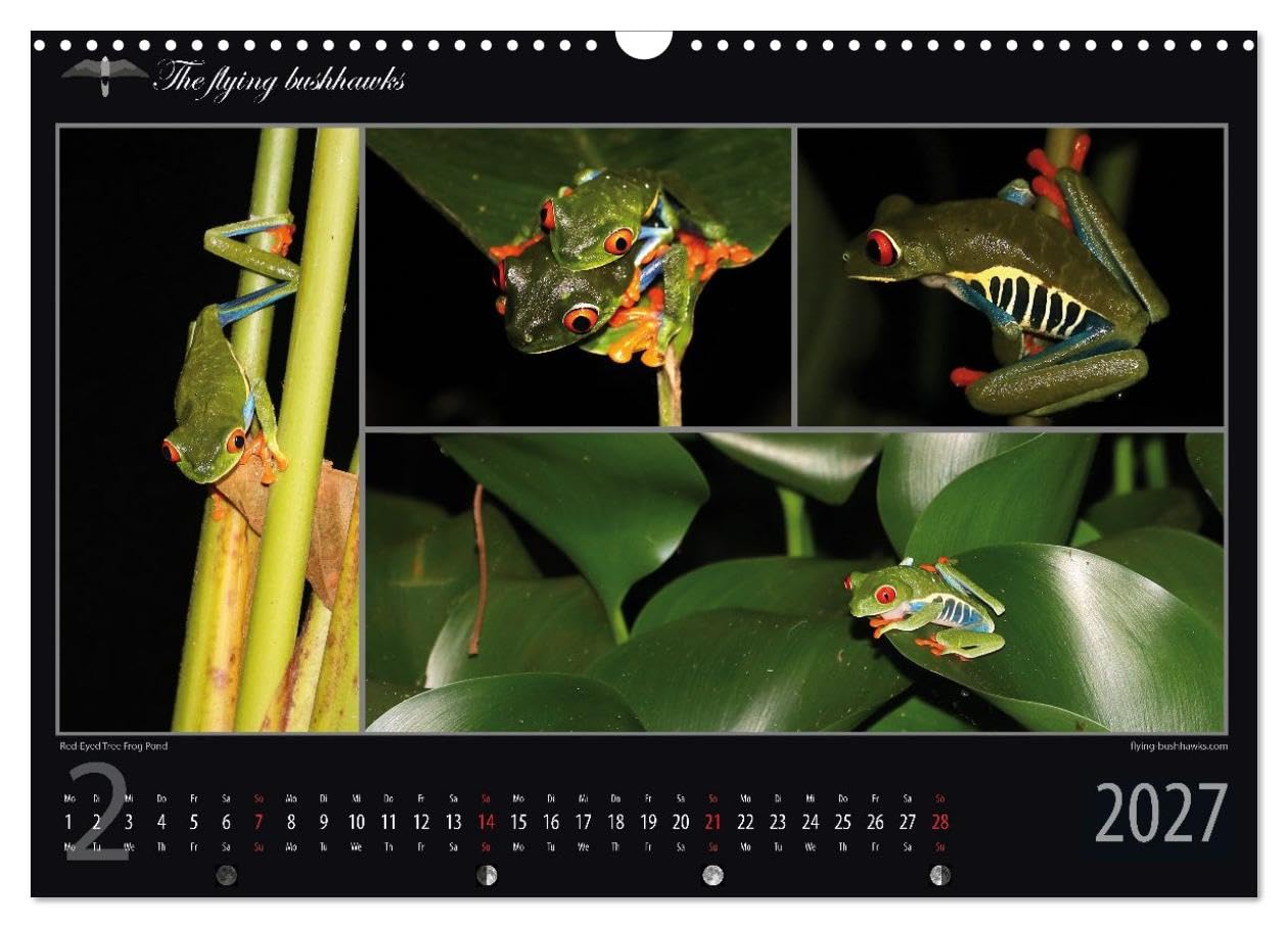 Costa Rica Blickwinkel 2027 (Wandkalender 2027 DIN A3 quer), CALVENDO Monatskalender: Costa Rica - flying bushhawks Blickwinkel Kalender (CALVENDO Orte)