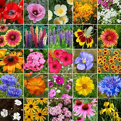 Non GMO Bulk Midwest Wildflower Seed Mix 25 Species of Wildflower Seeds (100 Lbs)