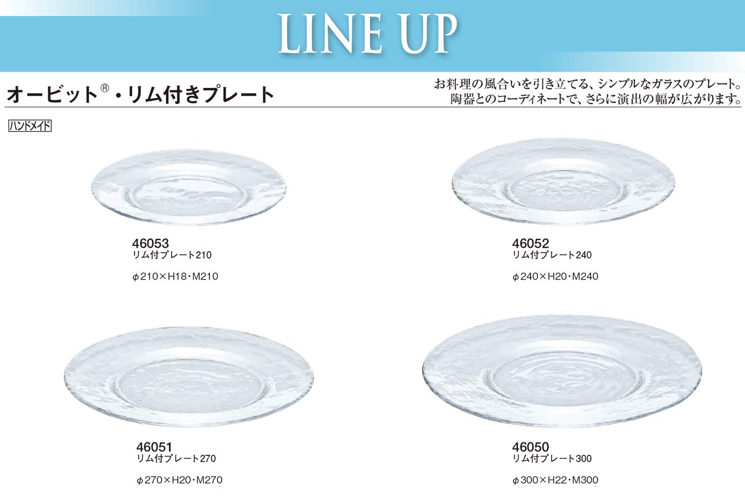 透明ガラス リム付き平皿 w_46050_1.jpg