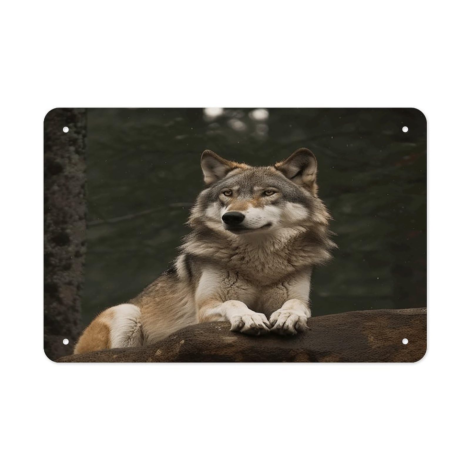 Fekiloot Style Gray Wolf Metal Signs Wall Art Tin Sign