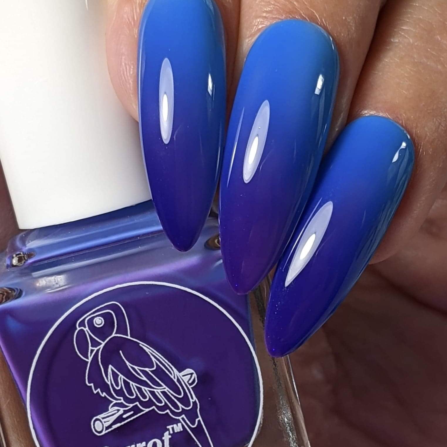 Parrot PolishBlurple Sky Solar Nail Polish, Color Changing Blue to Purple Lacquer
