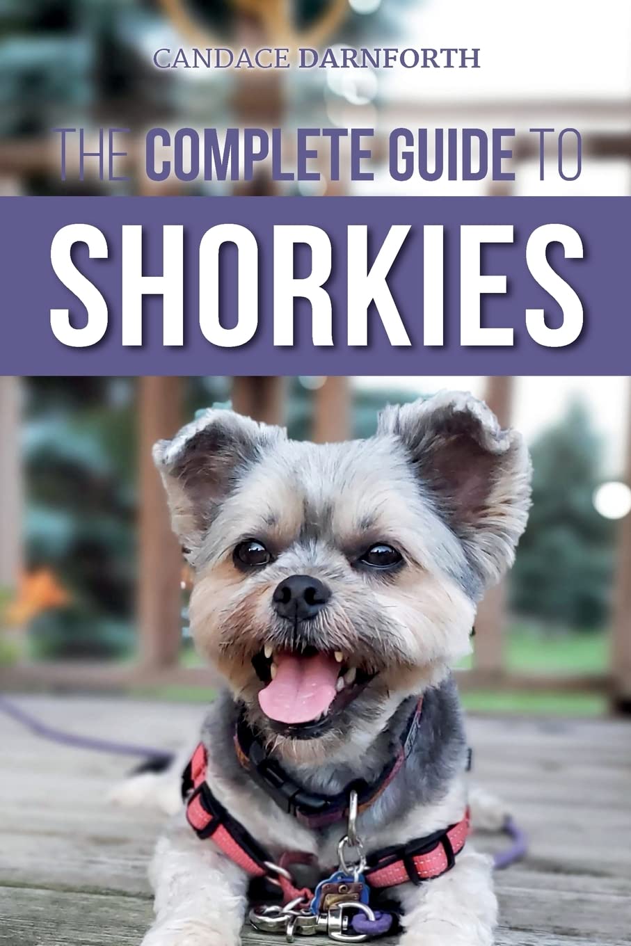 Shorkie Guide