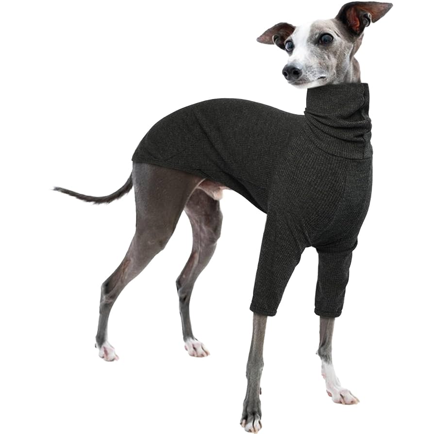 Windhund Pullover Mit Beinen - Winddichter Fleece Jumpsuit Für Whippets Größe 5XL