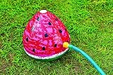 イガラシ 噴水シャワースイカ 30×26cm PAA-FW RD 小型