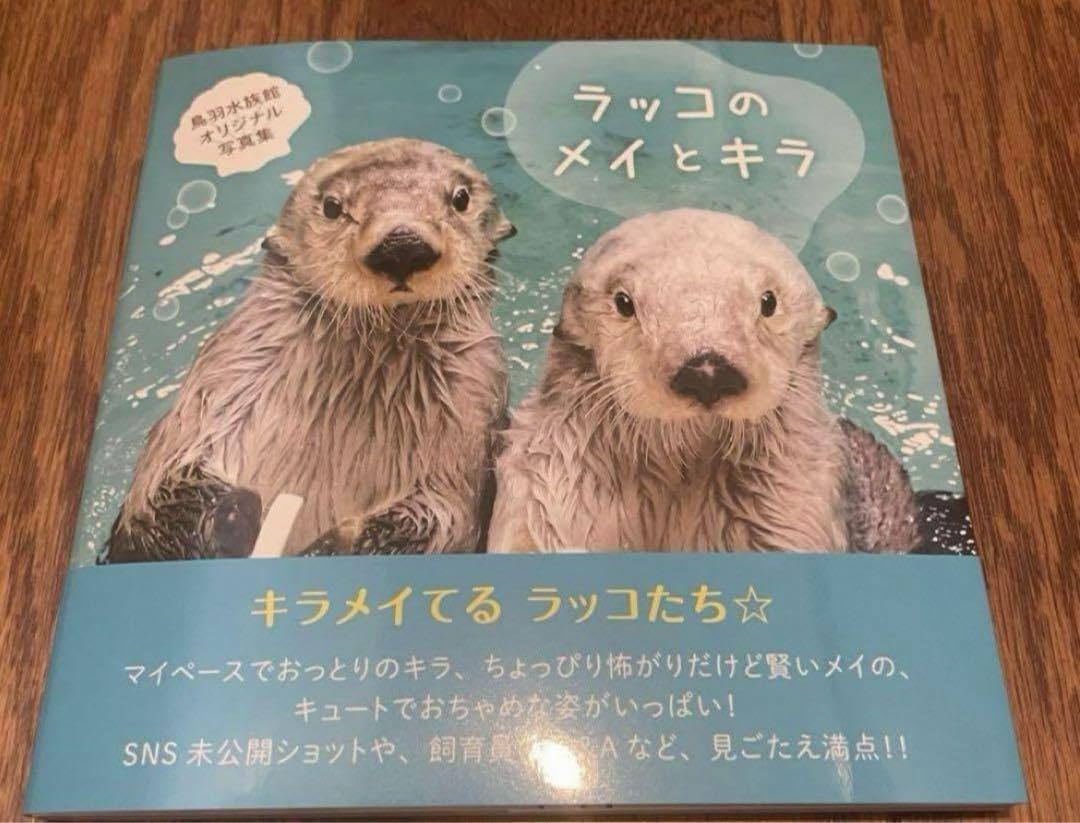 Amazon.co.jp: 鳥羽水族館 ラッコ 写真集 : おもちゃ