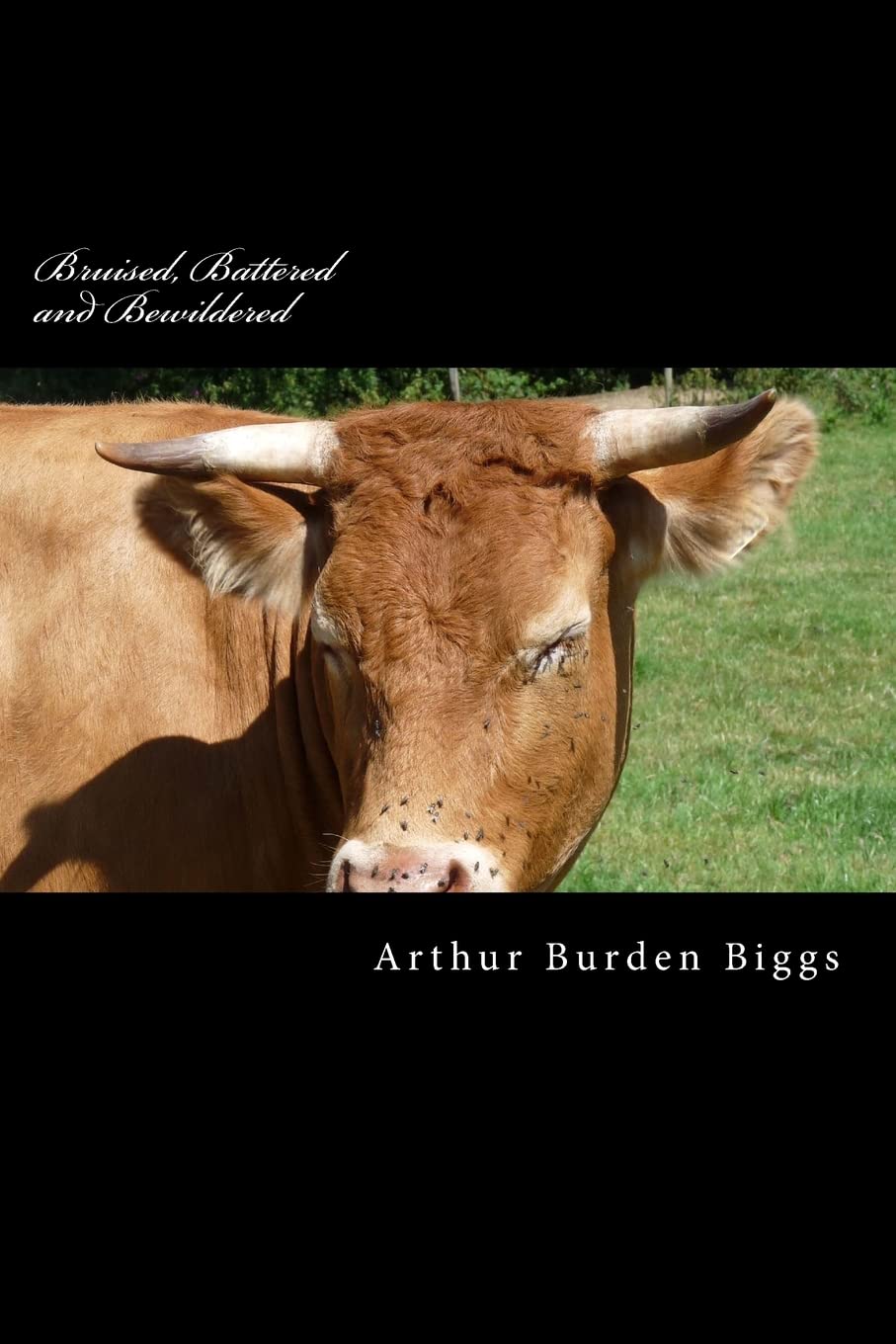Bruised, Battered and Bewildered: A true story of an Alcoholics life