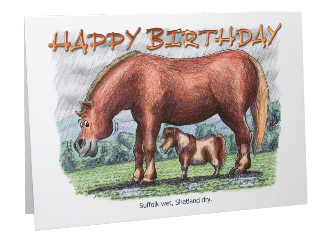 Aliment Complementaire Pour Chevaux Et Poneys