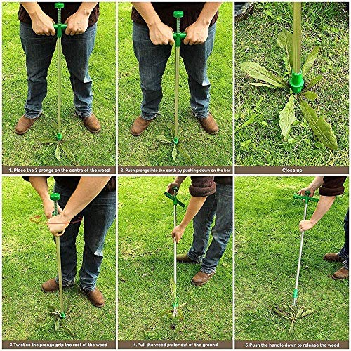Hilif Garden Stand Up Weeder and Weed Puller Stand up Manual Weeder Hand Tool with 3 Claws Stainless Steel and High Strength Foot Pedal Weed Puller 39