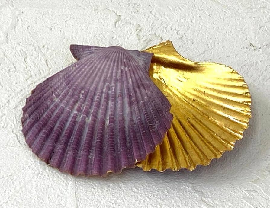 Amazon.co.jp: 天然緋扇貝 ひおうぎ貝 香合 隠岐島 輪島 本金漆