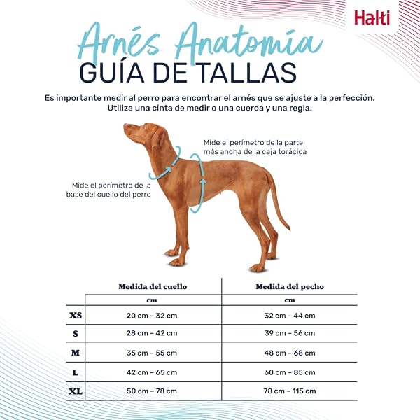 Arnés de Perro HALTI Anatomy con asa - Proporciona Libertad de Movimiento a tu Perro para Que pasee cómodamente. 3 Puntos de Enganche y Acolchado de Neopreno y Ajustable (Talla M, Magenta) - 4