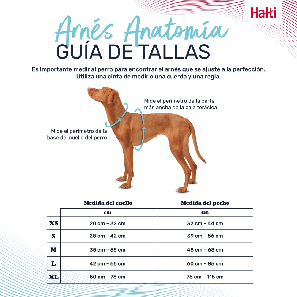 Arnés de Perro HALTI Anatomy con asa - Proporciona Libertad de Movimiento a tu Perro para Que pasee cómodamente. 3 Puntos de Enganche y Acolchado de Neopreno y Ajustable (Talla M, Magenta) — view 4