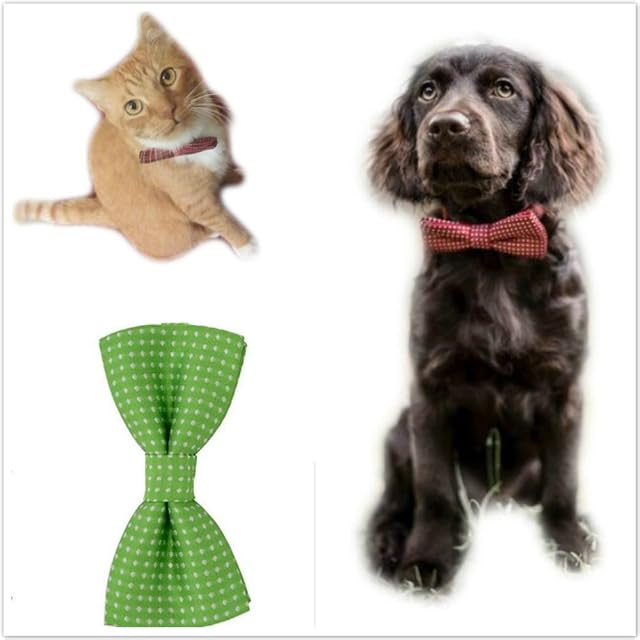 Foto 6 de 6 de Heypet - Pajarita de lunares de colores para mascotas y gatos (11)