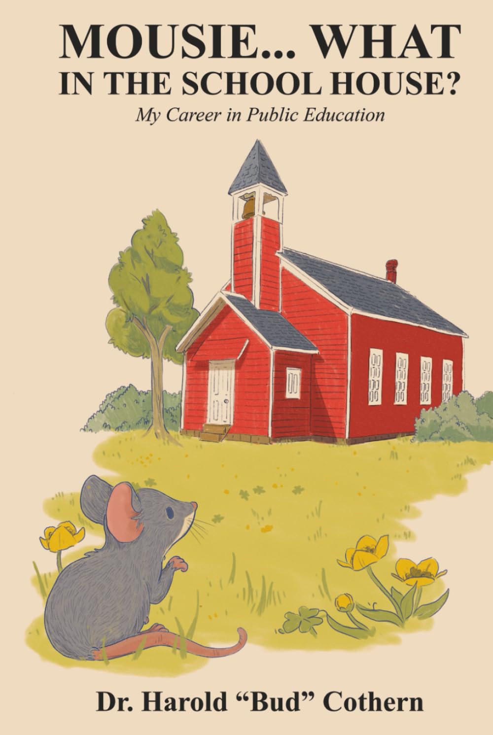 Mousie...What in the School House?: My Career in Public Education