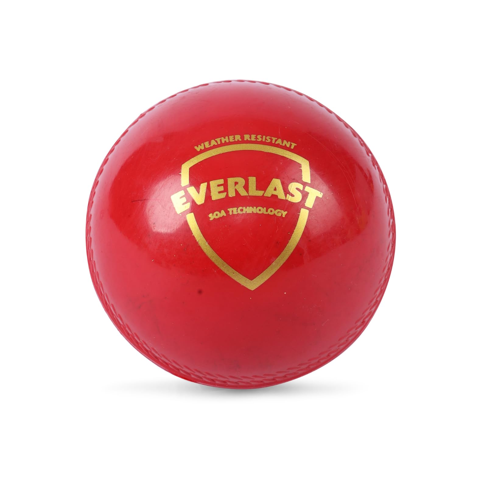 SG Cricket Balls Everlast(Red)* (B09NM5T939) Amazon Price History, Amazon Price Tracker