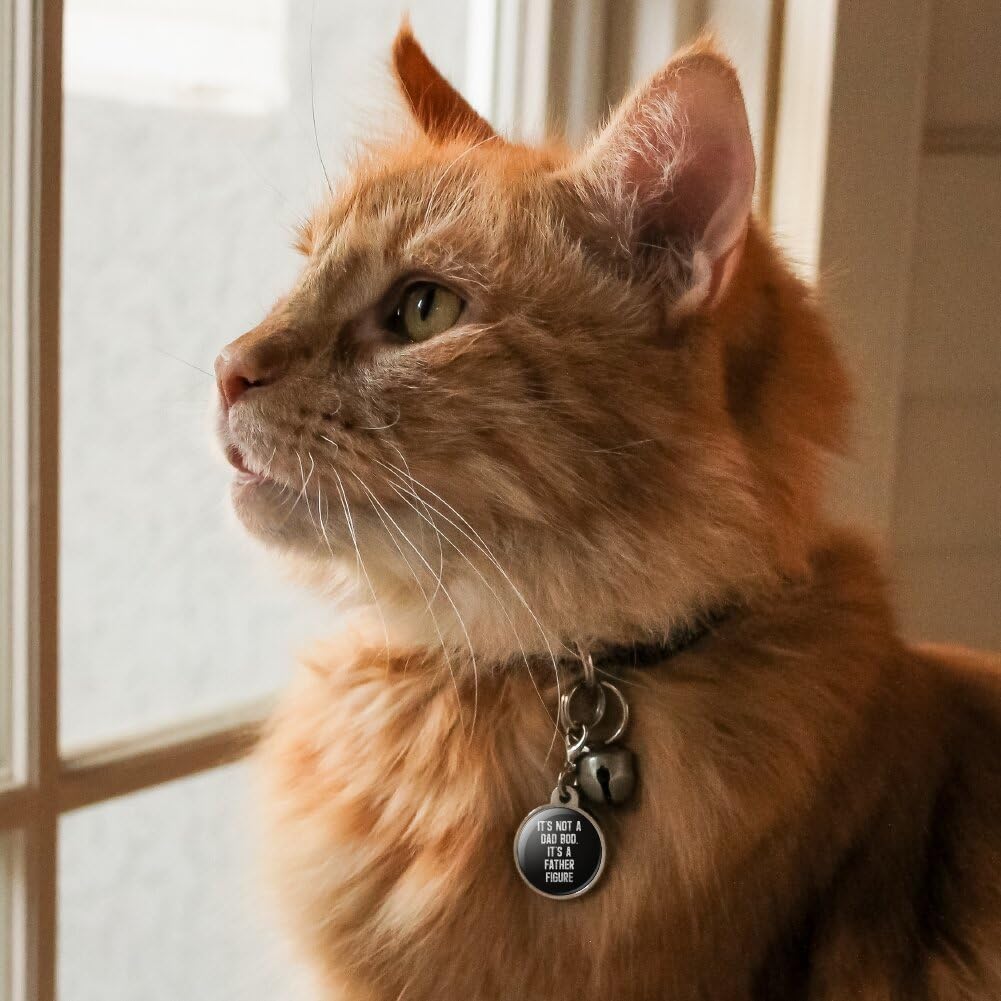 Graphics & More Not a Dad BOD Chrome Plated Metal Pet Dog Cat ID Tag - Small