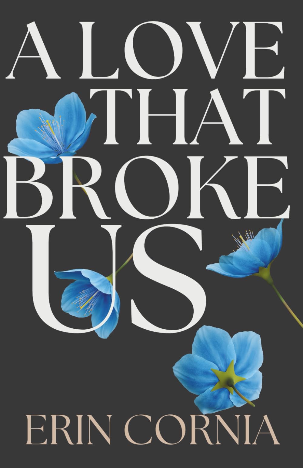 A Love That Broke Us: The Broken And Bound Duet Book One: 3 (The Chicago Series)