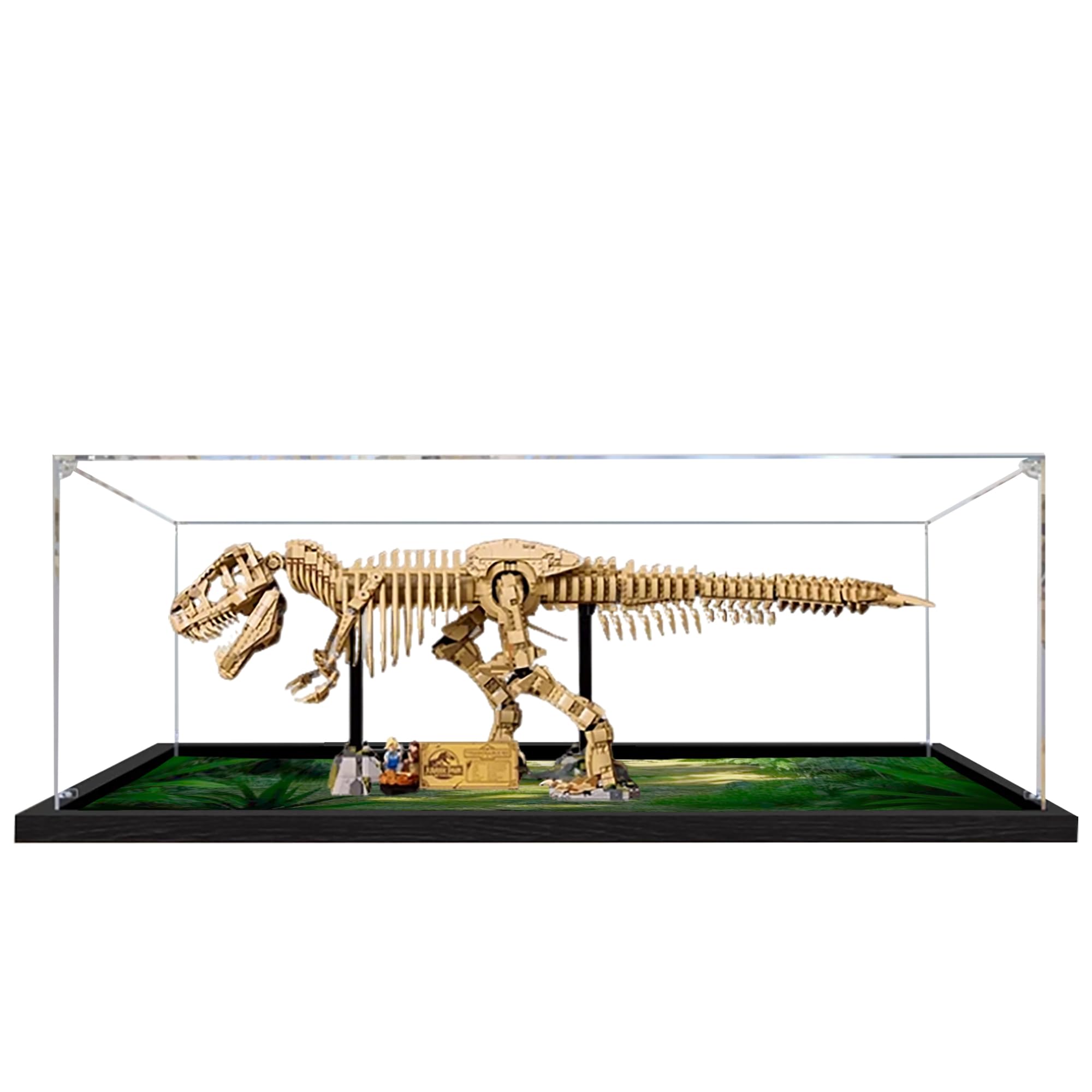 Amazon.com: Acrylic Display Case for Lego 76968 Dinosaur Fossil