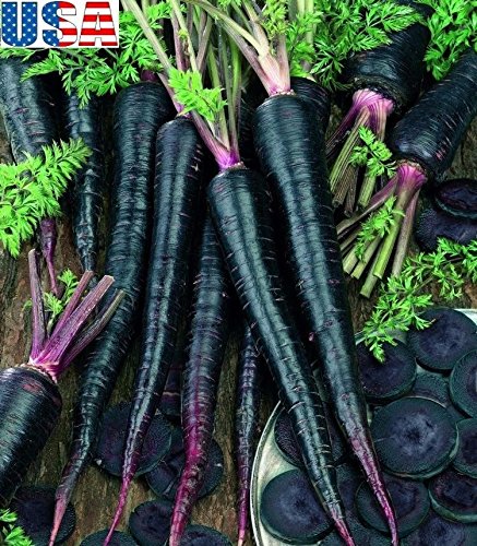 USA VENDITORE Nero Nabula Carota 25-200 Grani semi-héritières non OGM