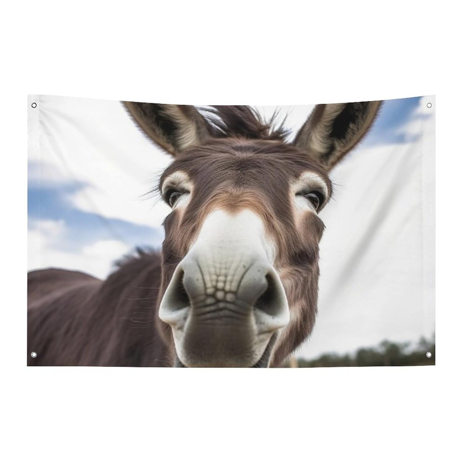 Drapeau âne polyester durable bannière de festival résistante aux intempéries avec œillets
