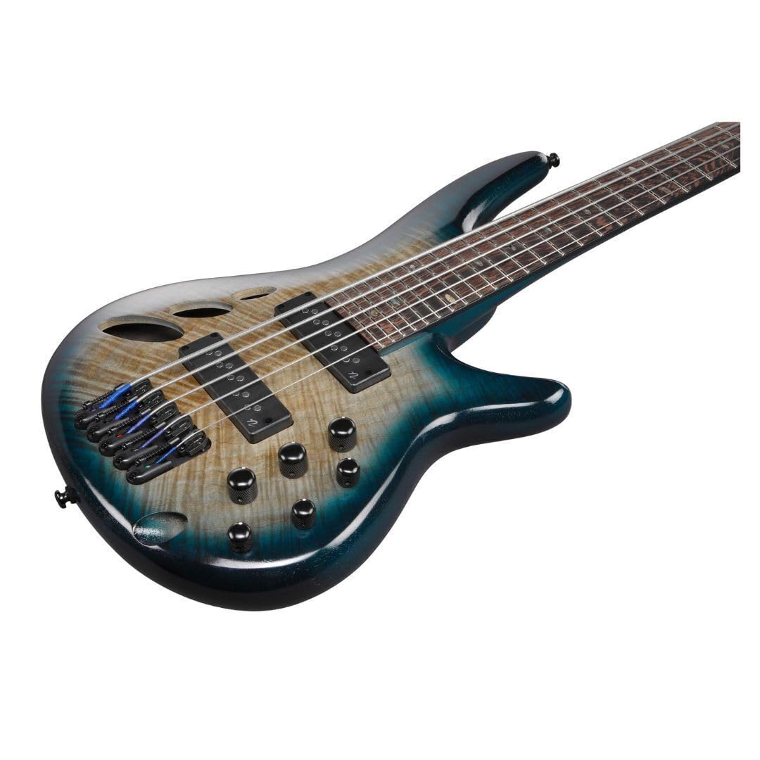Amazon.com: Ibanez SRD905 Bass Workshop 5-String Right-Handed