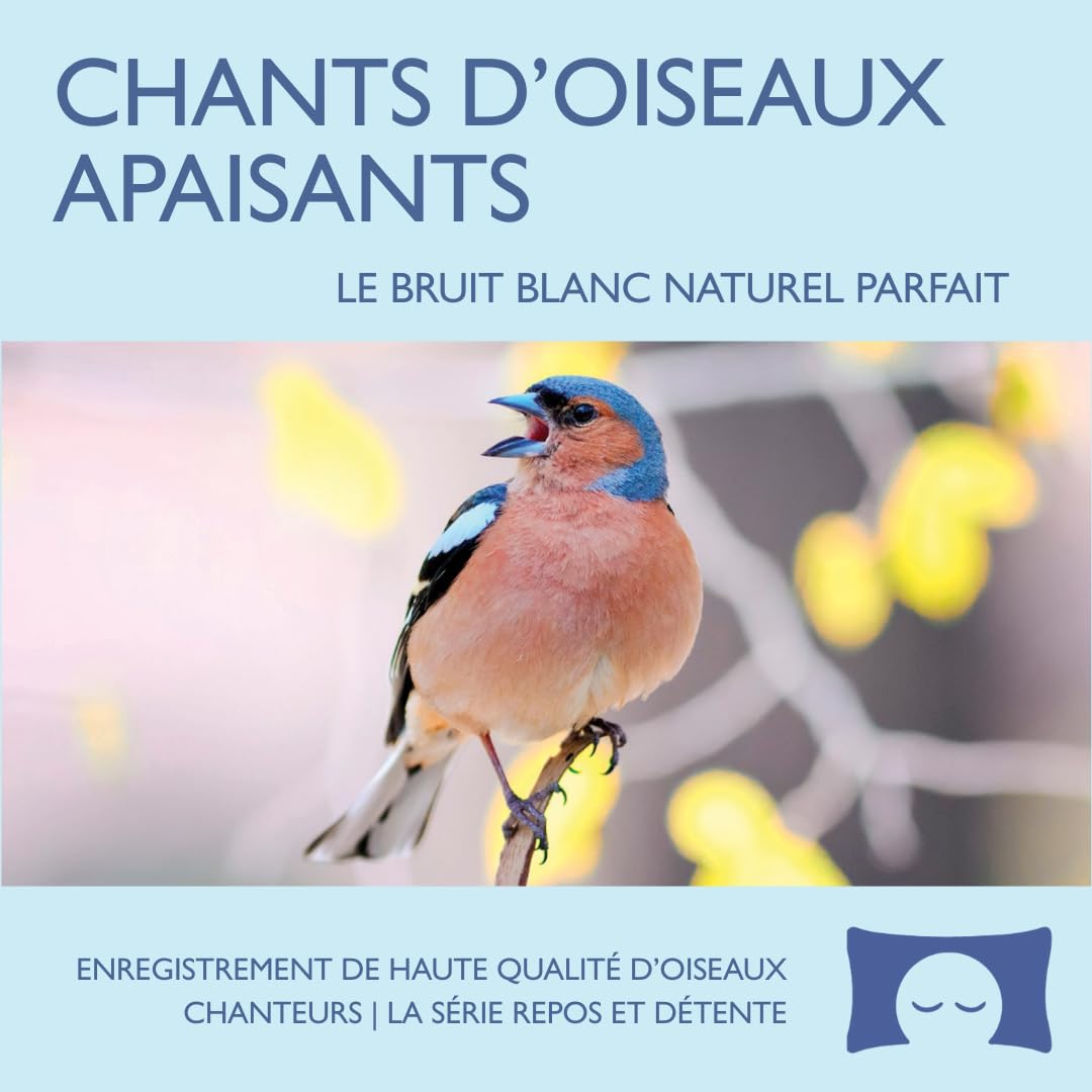 Chants d’oiseaux apaisants – Enregistrement pour méditation, relaxation, bruit blanc naturel