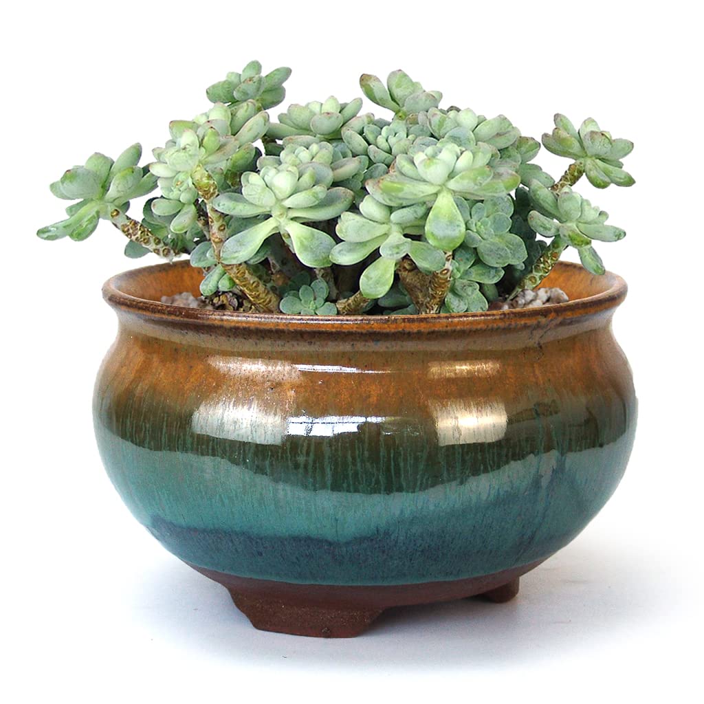 Amazon.com : Summer Impressions 8 Inch Glazed Terracotta