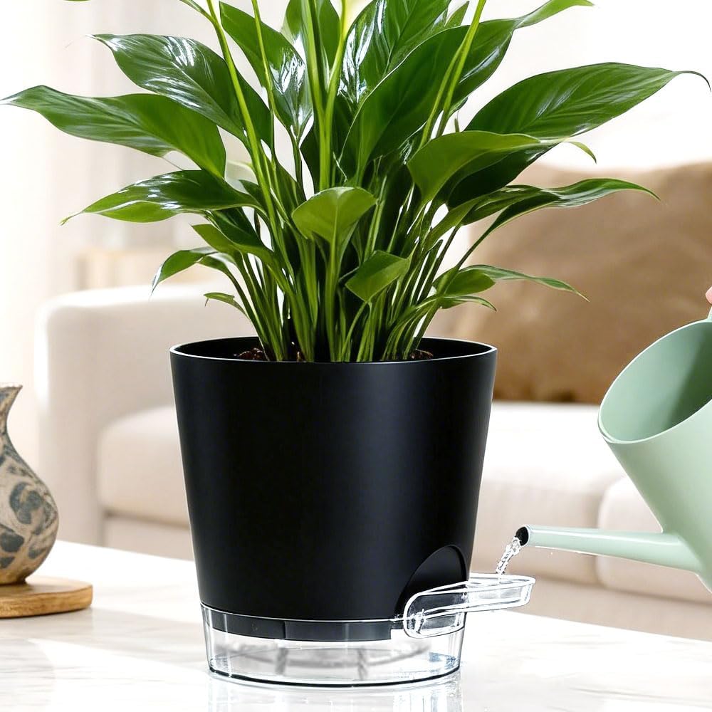 Self Watering Pots for Plants, 2026 New Flower Plant Pots with Drainage Holes, Wicking and Clear Reservoirs for Succulent, Aloe, Cacti and Others - 6 Pack (Black, 6")
