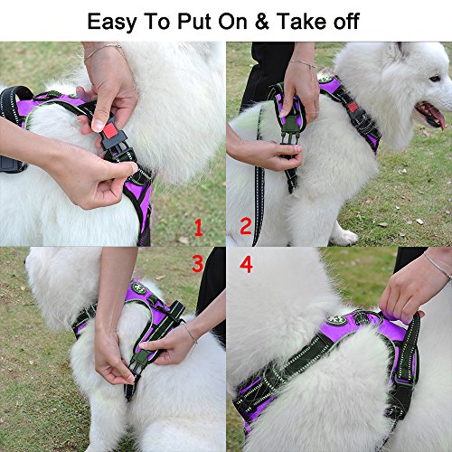 Image of PoyPet Dog Harness No Pull, Reflective Adjustable No Choke Pet Vest with Front & Back Clips, Soft Padded and Control Training Handle for Large Dogs(Purple,XL)