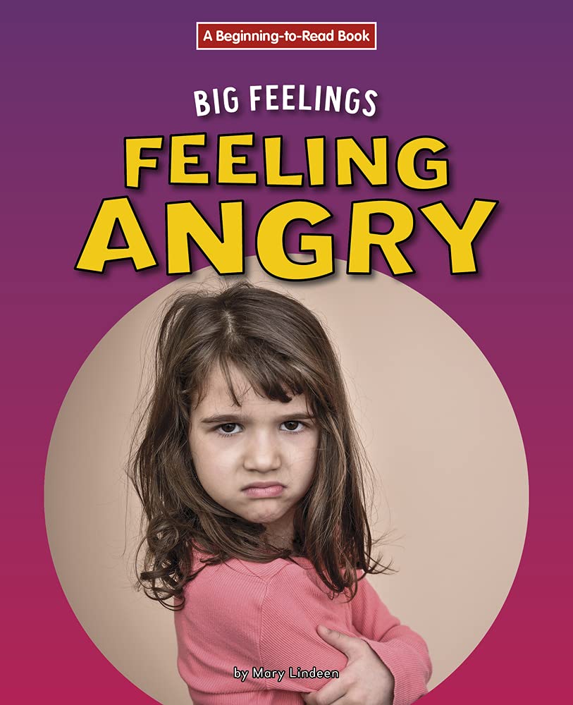 Buy Feeling Angry (Beginning-to-Read: Big Feelings) — BookShops.in