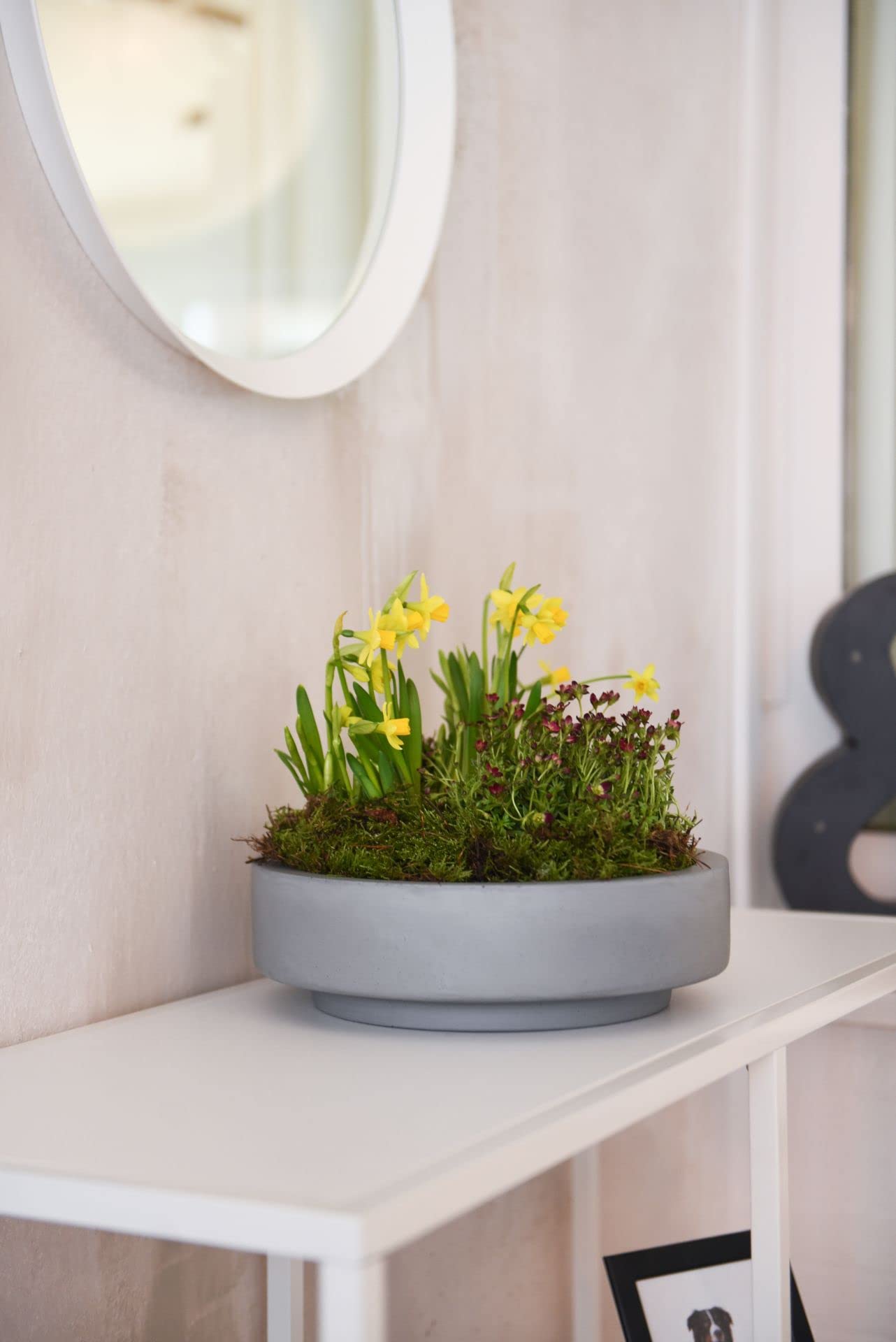VIVANNO Pflanzschale Blumenschale Dekoschale Fiberglas Escada Low 9x30 Betonoptik Grau