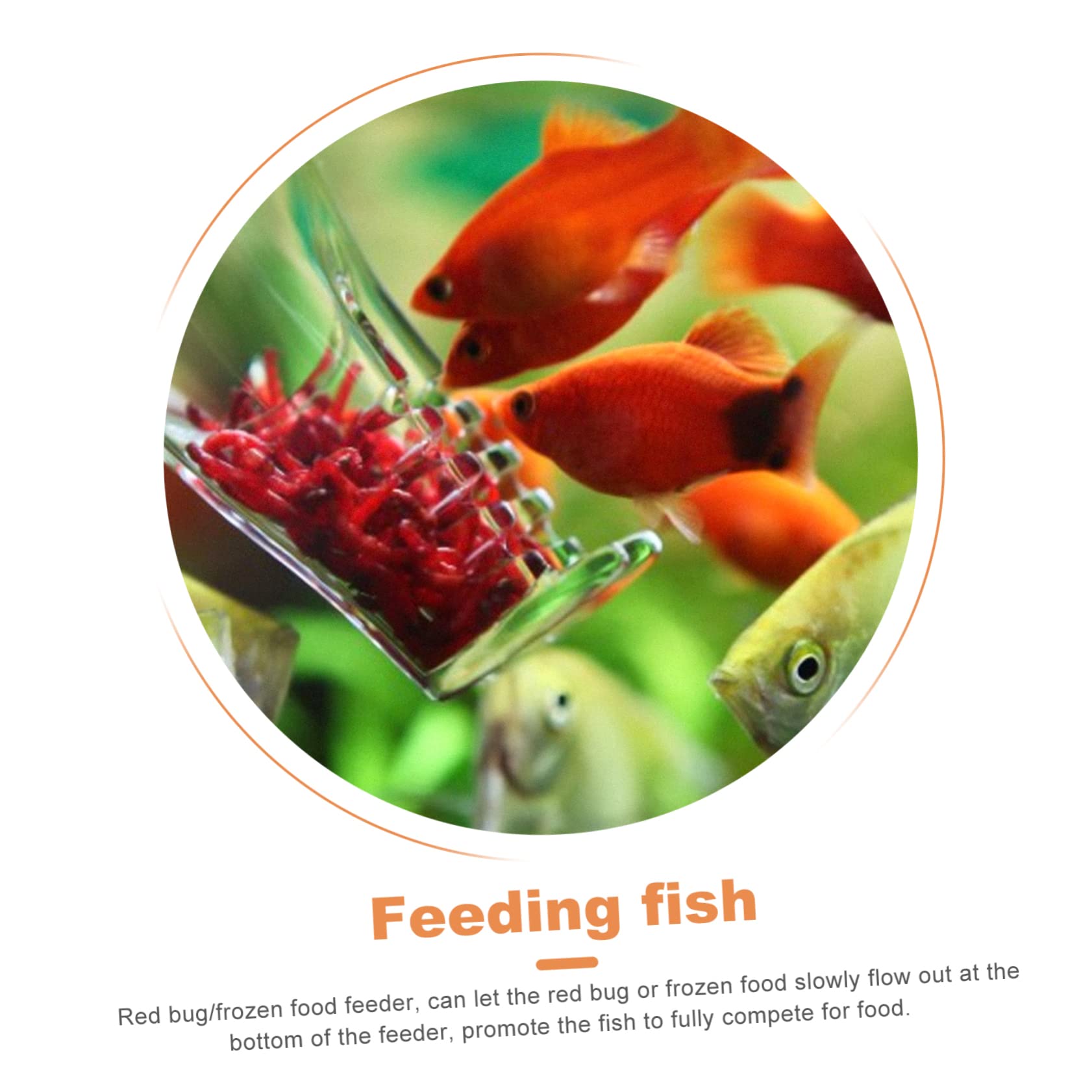 2 STK Ernte Garnelen Fütterung Gerät Aquarium Werkzeug Futterspender Für Aquarien Futterbehälter Für Rote Würmer Fischfütterungsvorrichtung Köder-Feeder Acryl Gefroren Fischfutter