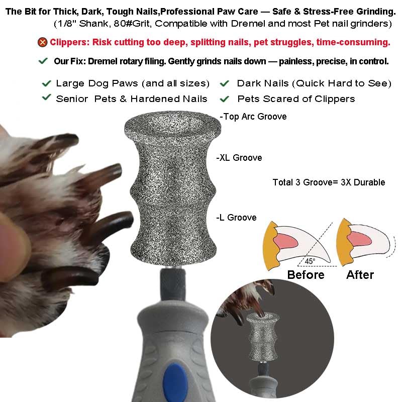 Image of Diamond Dog Nail Grinder Bits Attachments for Dremel 7760 7350 7300 - 1 /8'' 80 Grit Replacement Heads Refills & Tip for Most Pet Grinders - Painless & Safe for All Dogs Cats Thick Tough Nails Grooming | Safe Grooming Diamond Bit, Smooth Thick Dog Nails, Prevents nail damage, eases pet stress, compatible with Dremel Tools