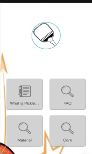 Pickleball Paddle