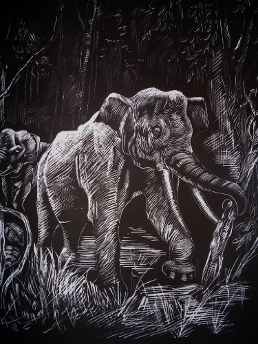 WASO-Hobby - 4er Scrapy Kratzbilder Set - Afrikanische Tiermotive/Silber *Groß* Cover