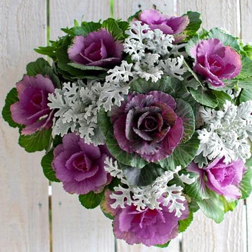  t{^̃nMOoXPbg񂹐A[TUNX]MTCYtO rI  ߓ ߏ ߓ O   m  n{^ ɐ ԃAWg [X _  ~ oXPbg  t[M