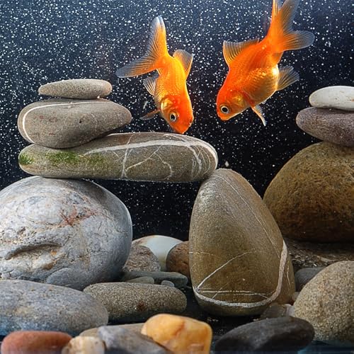 Image of Pulovin 40 lbs River Rocks for Landscaping, 2 inch-3 inch Decorative Garden Stones for Plants, Flower Pots, Vase, Walkways, Yard, Natural Rocks for Aquarium, Fish Tank