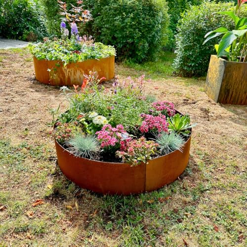 Czaja Pflanzring Ø 80 cm Edelrost - Baumring Hochbeet Rost Pflanzgefäß Pflanzkübel Metallring Kräuterbeet Stahlring Stahl Ring Czaja Pflanzring Ø 80 cm Edelrost - Baumring Hochbeet Rost Pflanzgefäß Pflanzkübel Metallring Kräuterbeet Stahlring Stahl Ring