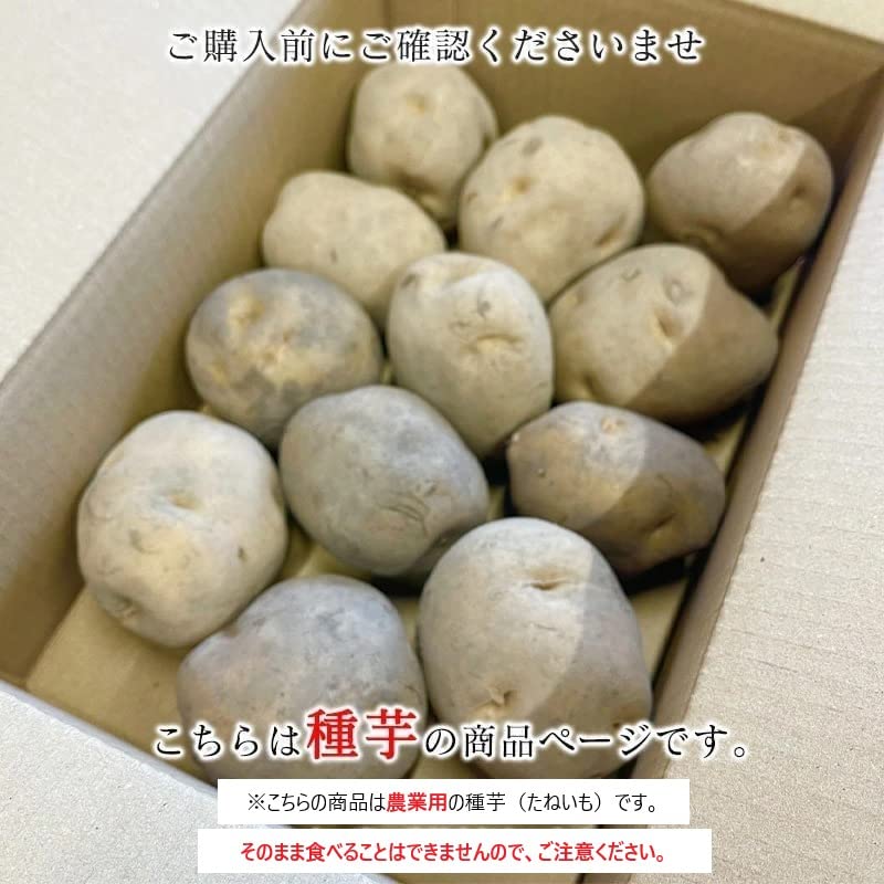 Amazon.co.jp: Misawa no Yasai Seed Potato, 2.2 lbs (1 kg