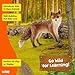 Schleich Wild Life, Animal Figurine, Animal Toys for Boys and Girls 3-8 Years Old, Fox Brown, Ages 3+