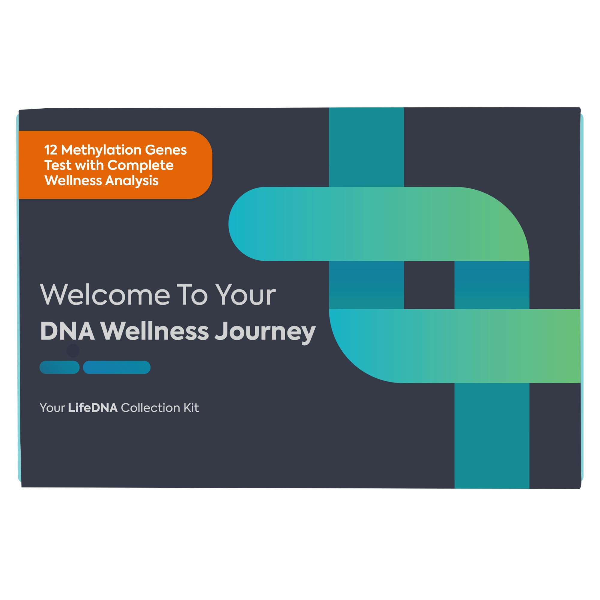 12 Methylation Genes Test with Complete Wellness Analysis | at-Home DNA Testing Kit | Over 120 Traits Into Your Nutrition, Fitness, Vitamins, Wellness, Sleep, Skincare