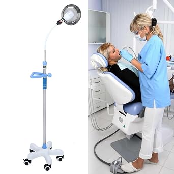Medical Examination Lamp for Gynaecology, 360 Rotation Floor Stand Type Lamp Mobile Medical Exam Light Lamp with Handrail, for Dental Clinics and ENTWhite