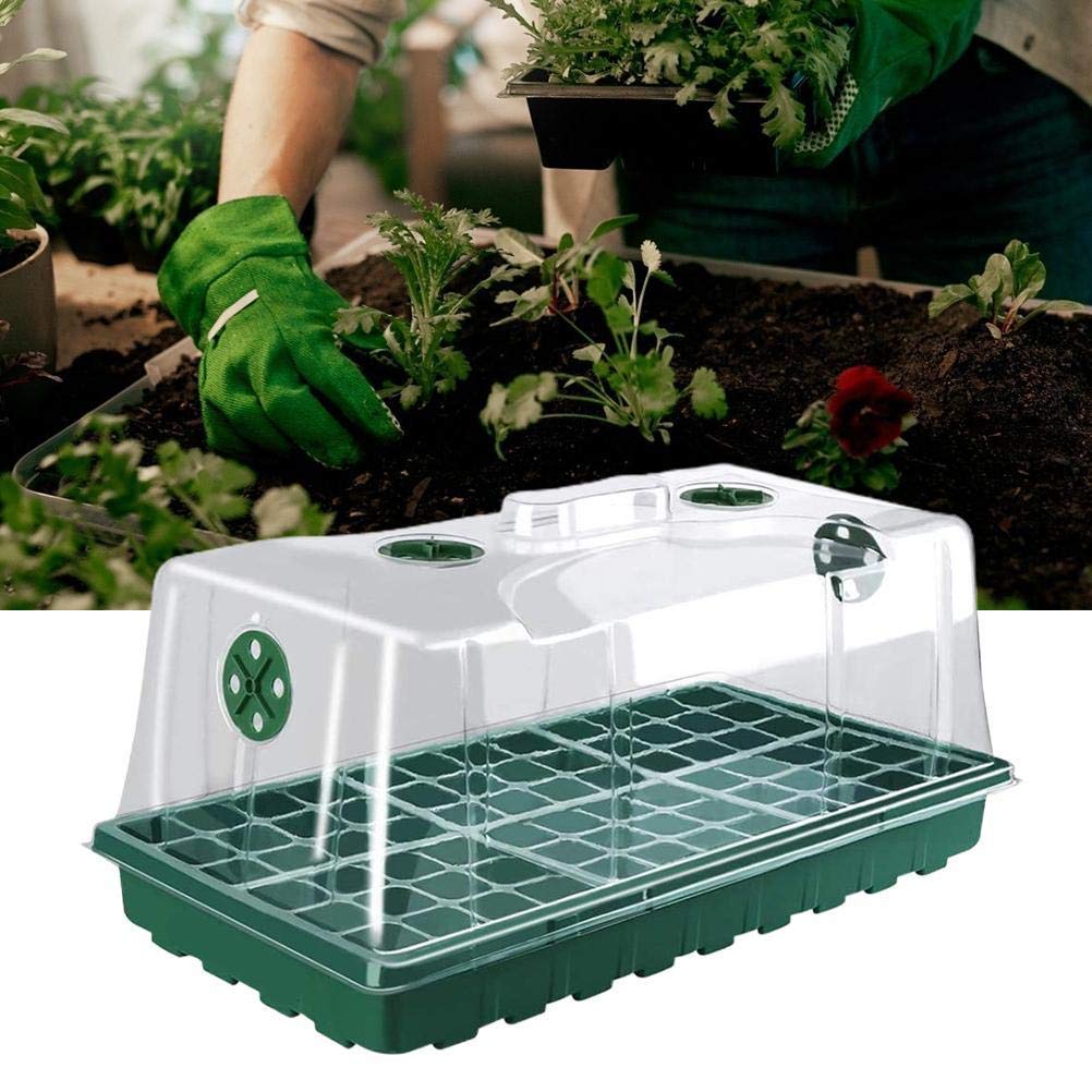 TOPINCN Caja de Cultivo de Semillas de Plantas, Iniciador de Plántulas de Vivero de 12 Orificios de Plástico de para Jardineros y Cultivadores (1)