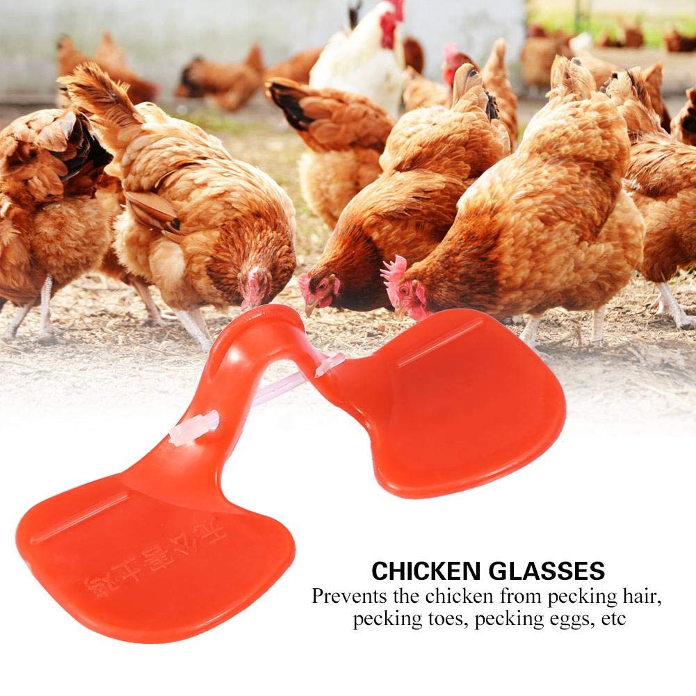 Lunettes de Poulet Anti-Picage - Protecteur Yeux Volaille en Plastique Qualité, Équipement d'Élevage 100 Pièces pour Prévenir les Blessures dans le Poulailler