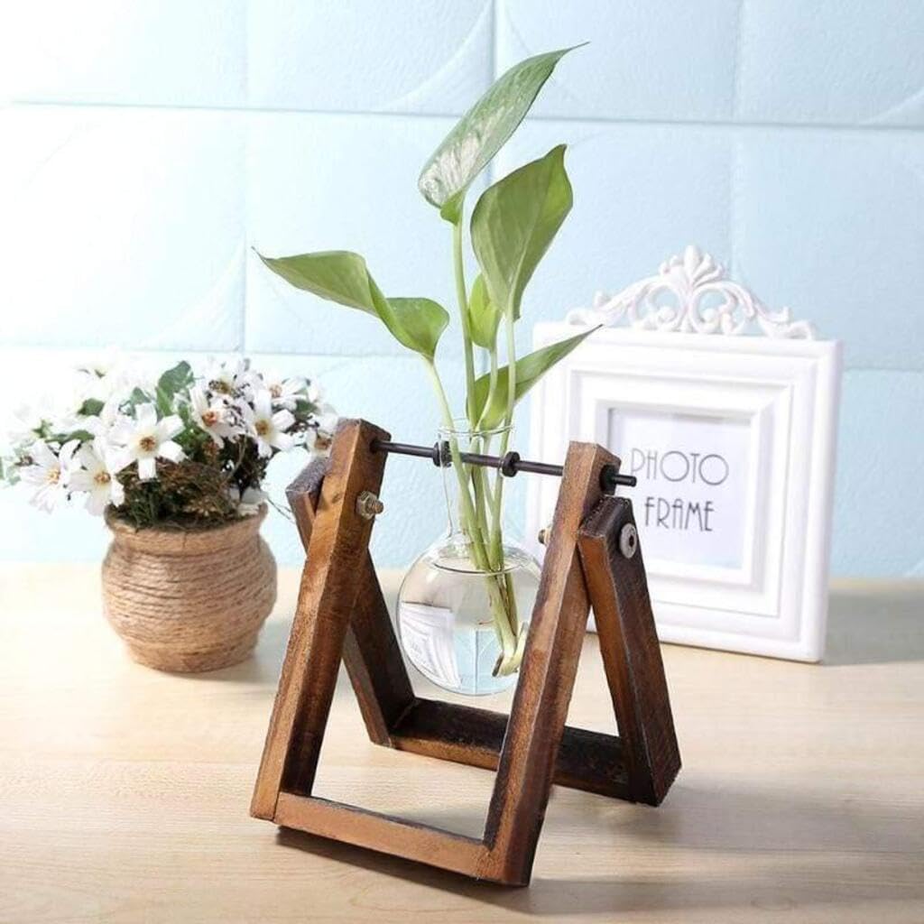 Smokey Cocktail Unique Style Glass Planter with Wood Stand for Table Top Indoor Planter Desktop Table Decor Home Office, Plant Terrarium, Air Planter Bulb Glass Vase (Single Flask) (B0CB8MDWH3) Amazon Price History, Amazon Price Tracker