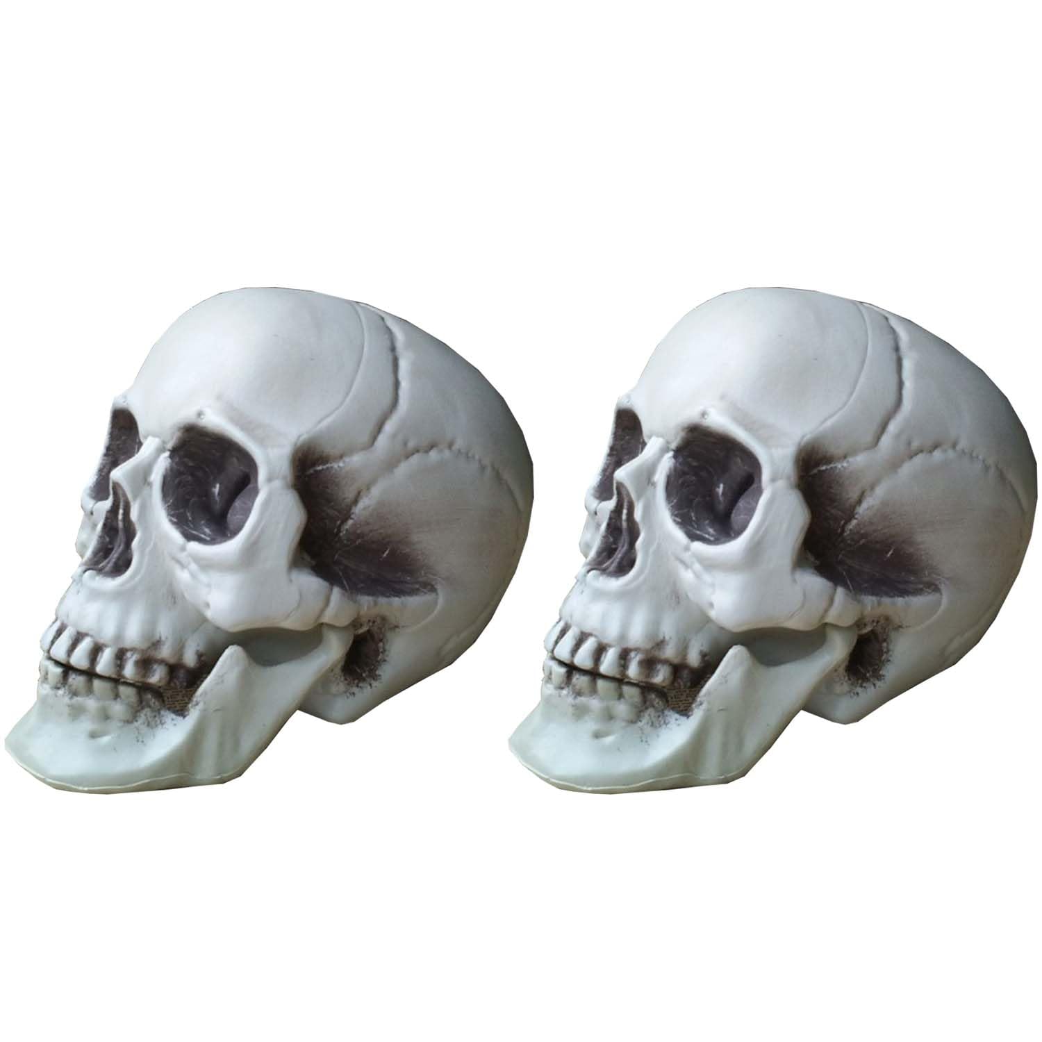 TAPIT 2Pcs Halloween Skulls, Small Realistic Looking Skulls with Moving Jaw, Human Skeleton Head Skull, Head Bone Model for Bar Party Home Halloween Decor (B(2Pcs))